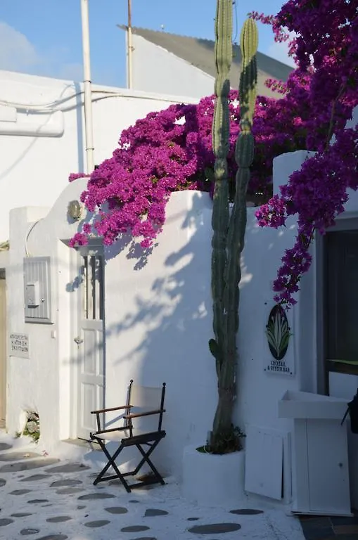Apartament White And Grey Chora Mykonos Town 0*,  Grecja